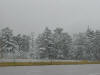 Snowday (8).JPG